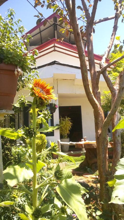 Redwood Homestay Нувара Елия Екстериор снимка