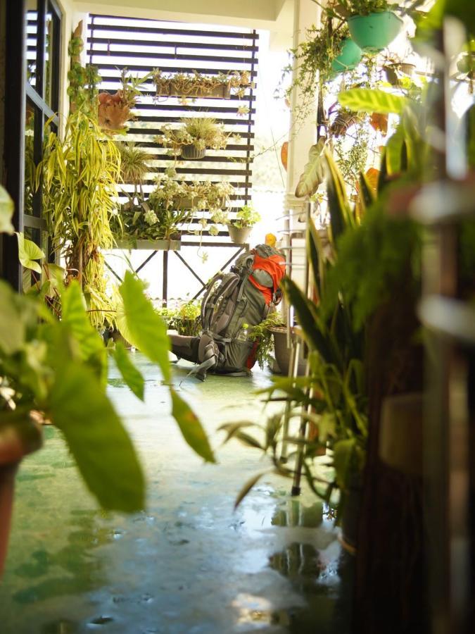 Redwood Homestay Нувара Елия Екстериор снимка