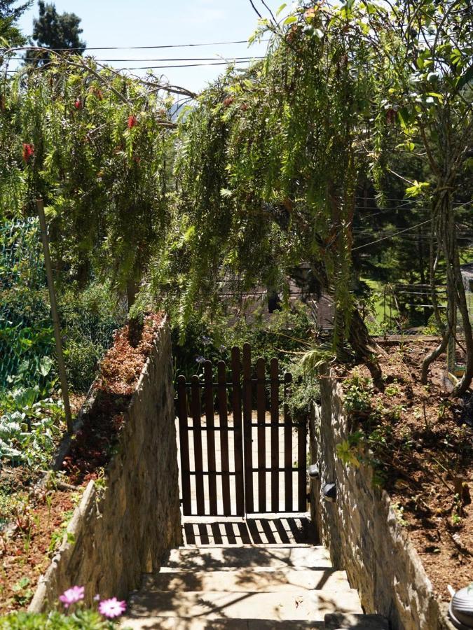 Redwood Homestay Нувара Елия Екстериор снимка
