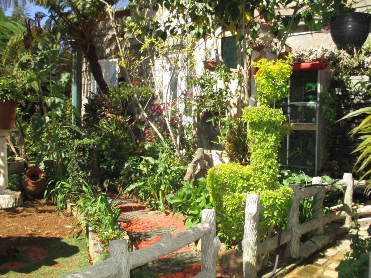 Redwood Homestay Нувара Елия Екстериор снимка
