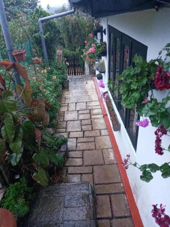 Redwood Homestay Нувара Елия Екстериор снимка